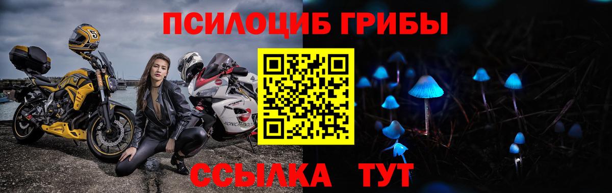 Петропавловск-Камчатский  Галлюциногенные грибы Magic Shrooms  Вход с VPN 